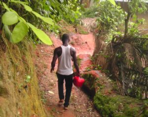 Symbole de l'amitié - Forêt tropicale