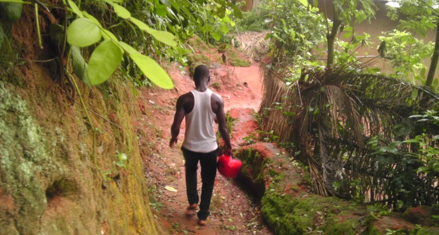Symbole de l'amitié - Forêt tropicale