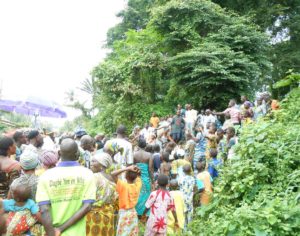 Symbole de l'amitié - Plante à fleurs