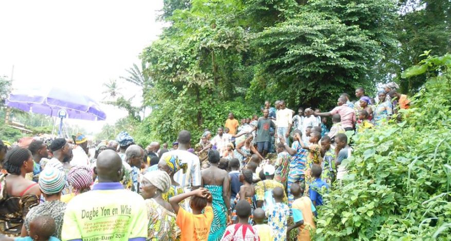 Symbole de l'amitié - Plante à fleurs