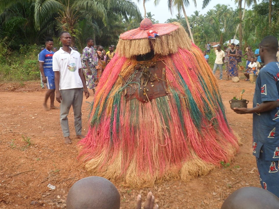 Graminées - Agriculture